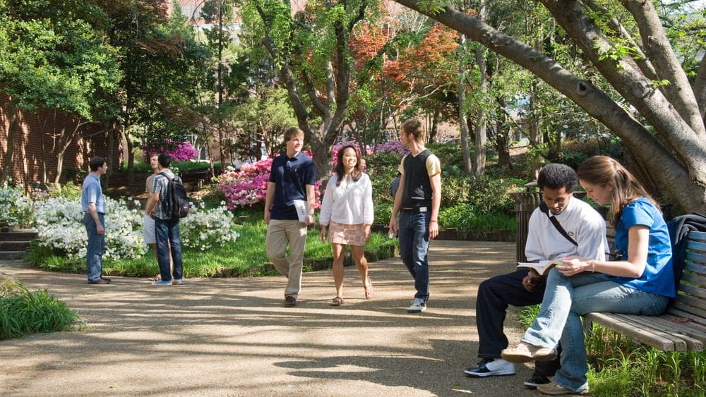 Students on campus during springtime.